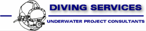 Diving Services Inc. logo
